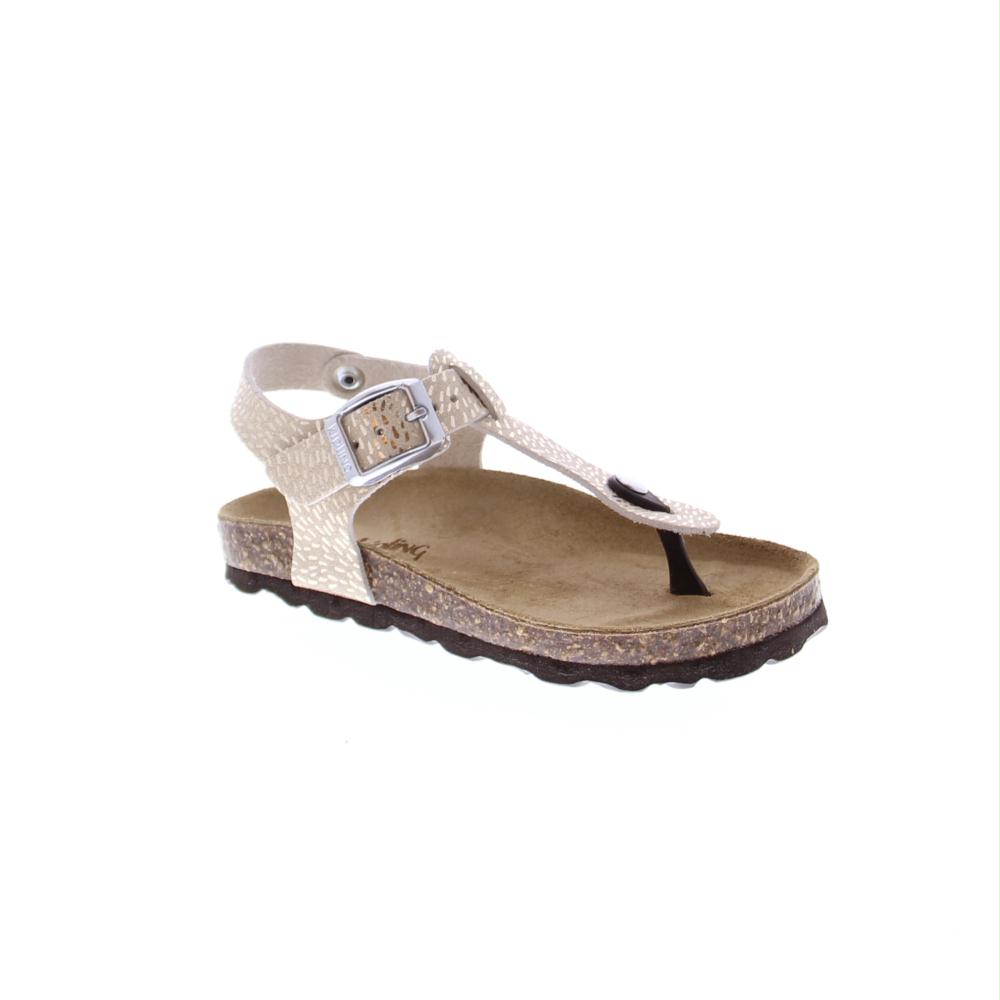 Standard Product Image