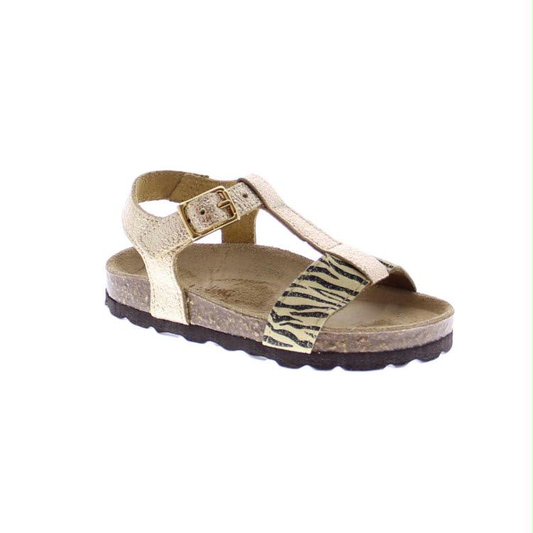 Standard Product Image