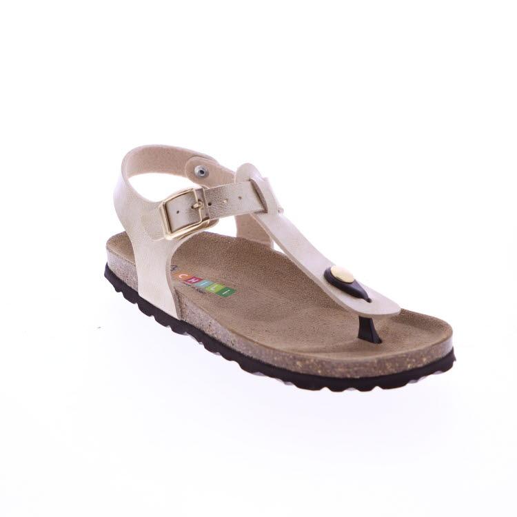 Standard Product Image