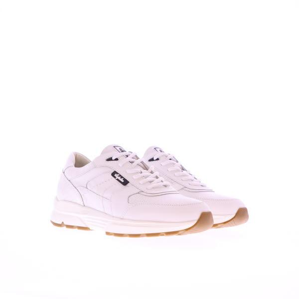Standard Product Image