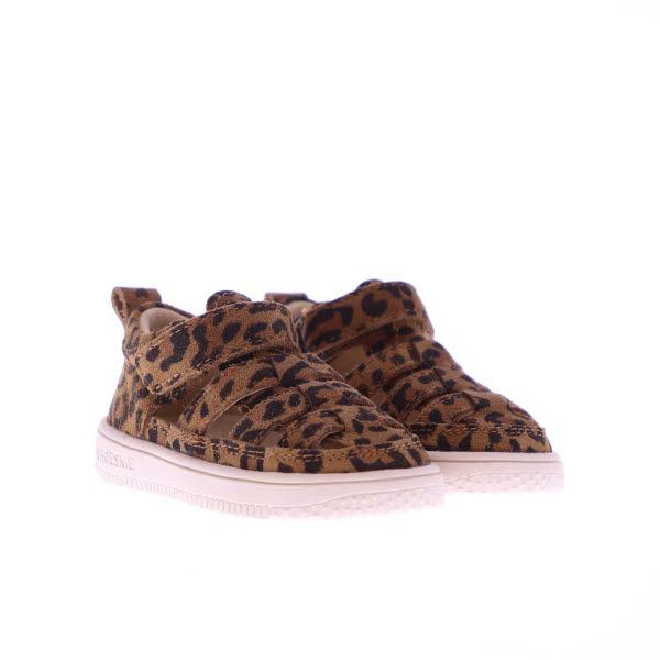 Standard Product Image
