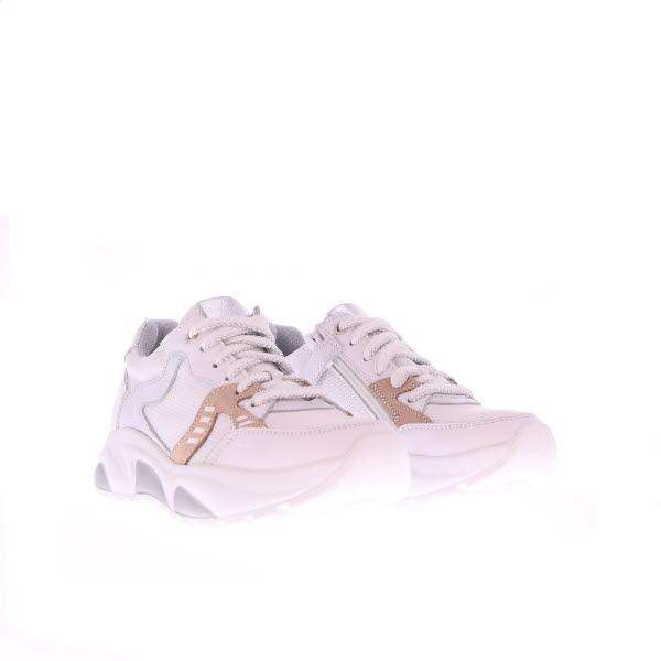 Standard Product Image