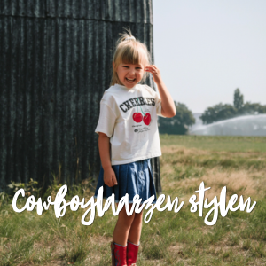 blog cowboylaarzen combineren wilmo