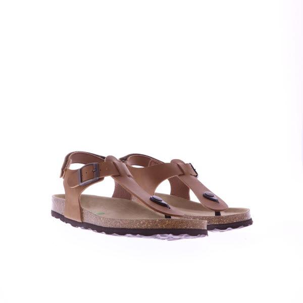 Standard Product Image