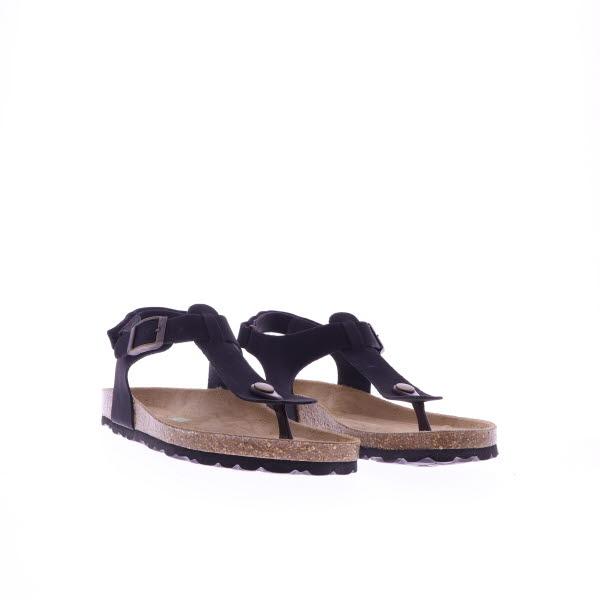 Standard Product Image