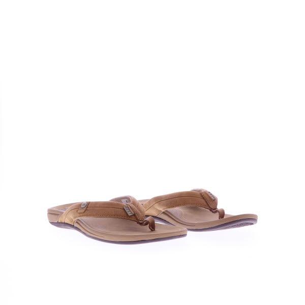 Standard Product Image
